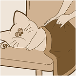 猫アイコン
